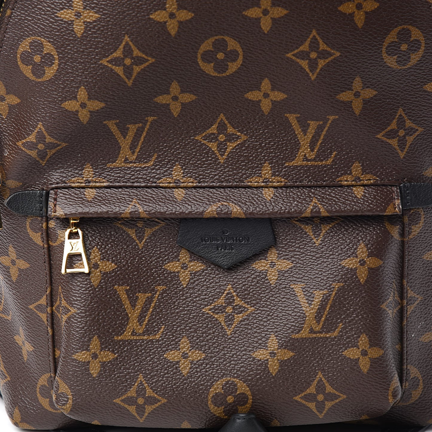 Monogram Palm Springs Backpack PM