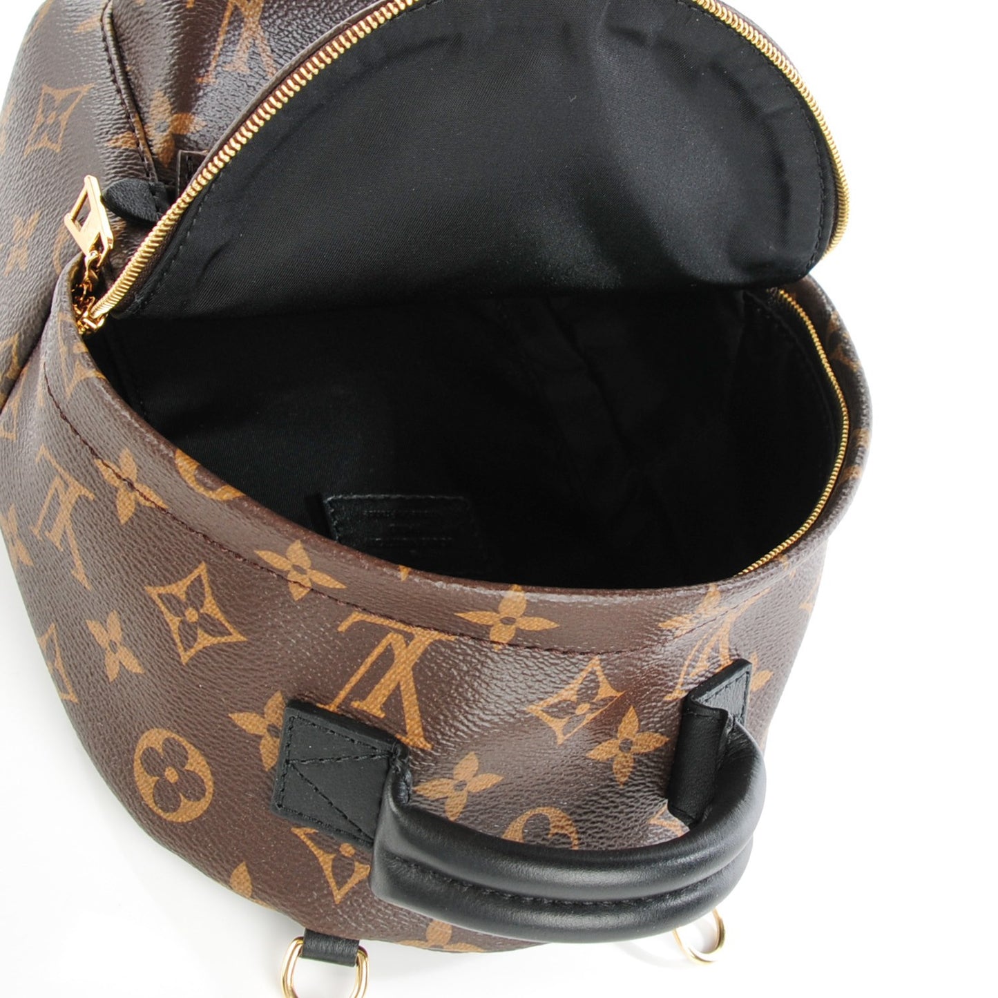 Monogram Palm Springs Backpack Mini