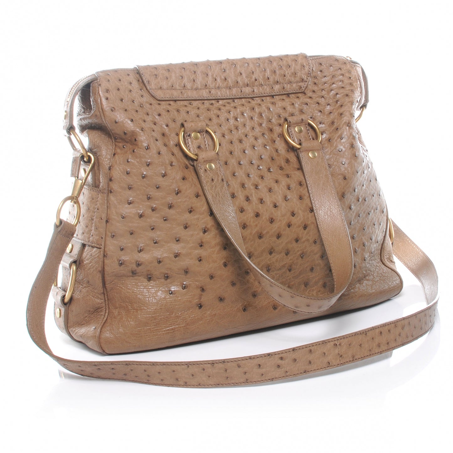 Ostrich Muse Messenger
