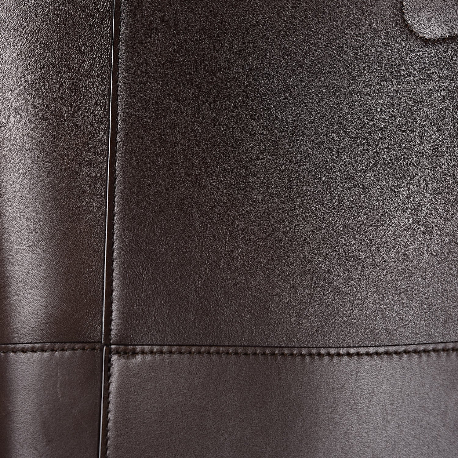 Celine Supersoft Calfskin Sangle Bucket Bag Wood 14 of 16