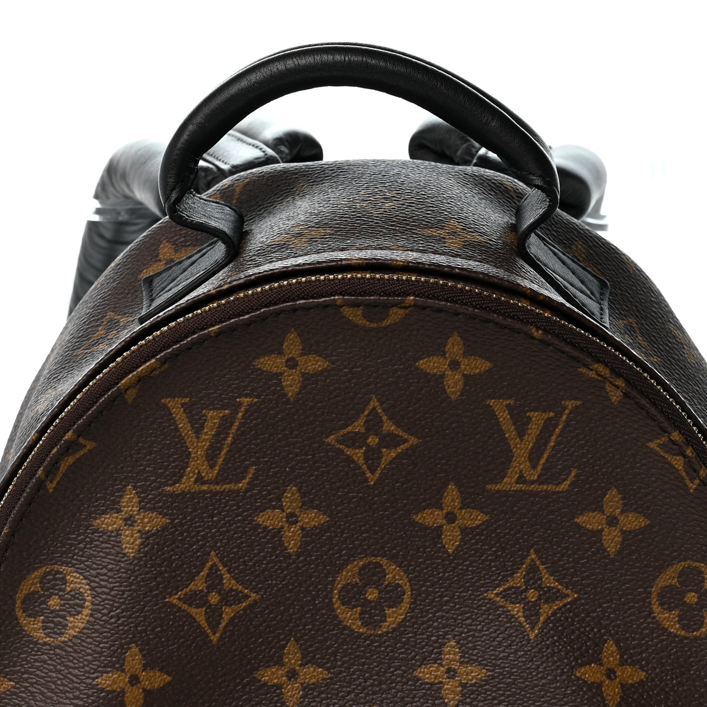 Monogram Palm Springs Backpack PM