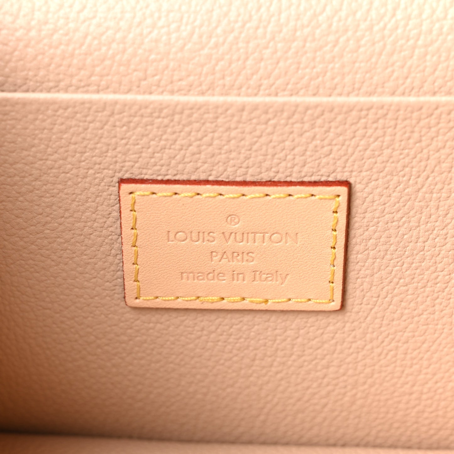 Monogram Nice Mini