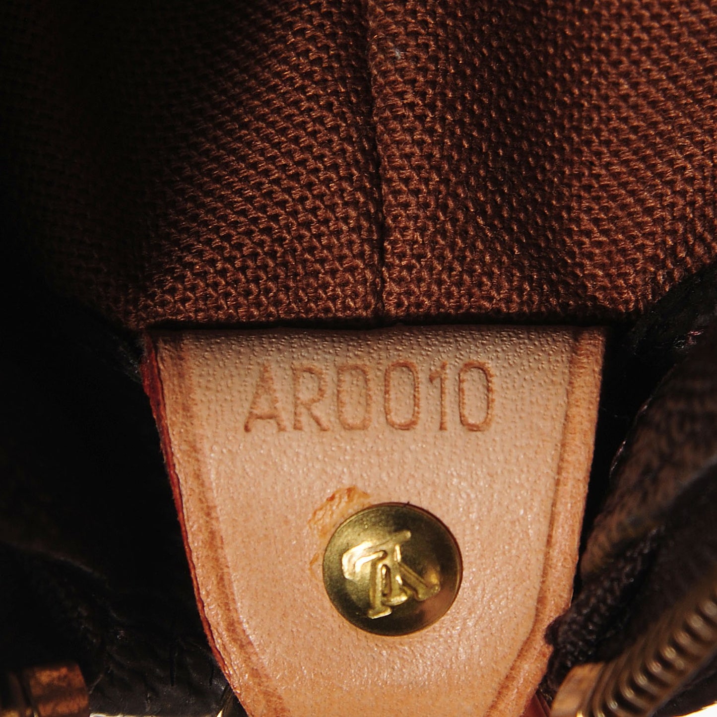 Monogram Cabas Mezzo