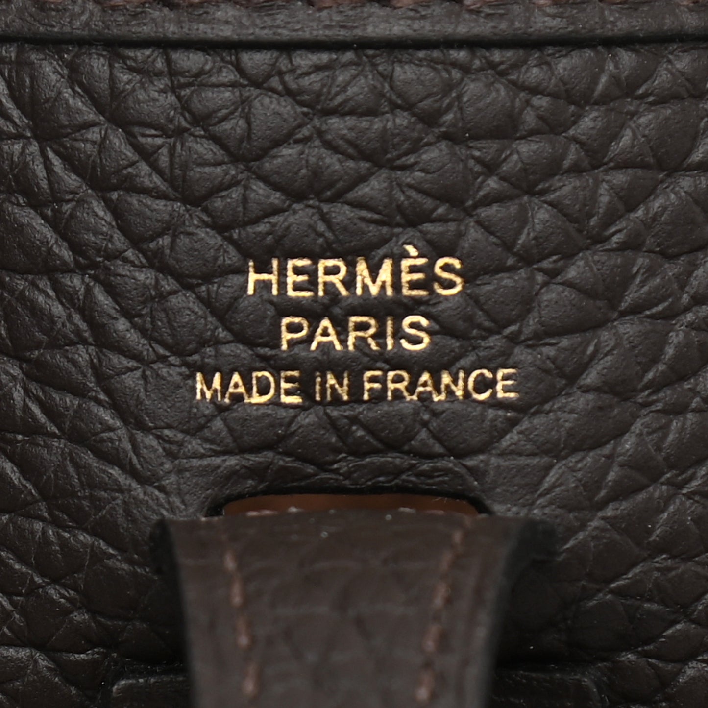 Taurillon Clemence Evelyne TPM Chocolate