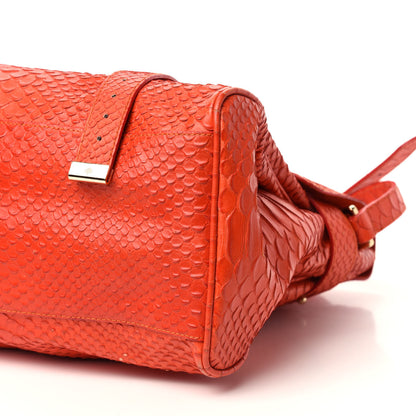 Mulberry Silky Snake Print Oversized Alexa Flame 8 of 10