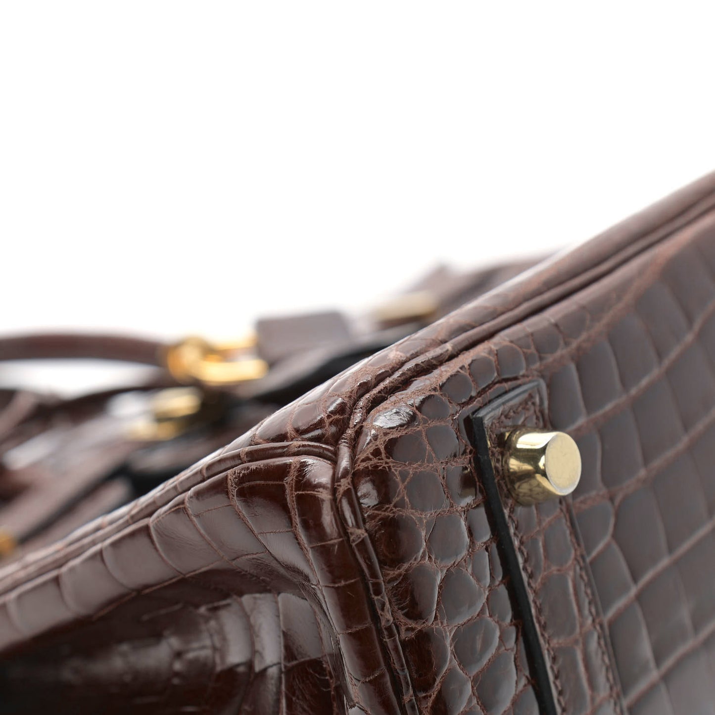 Shiny Niloticus Crocodile Birkin 25 Miel