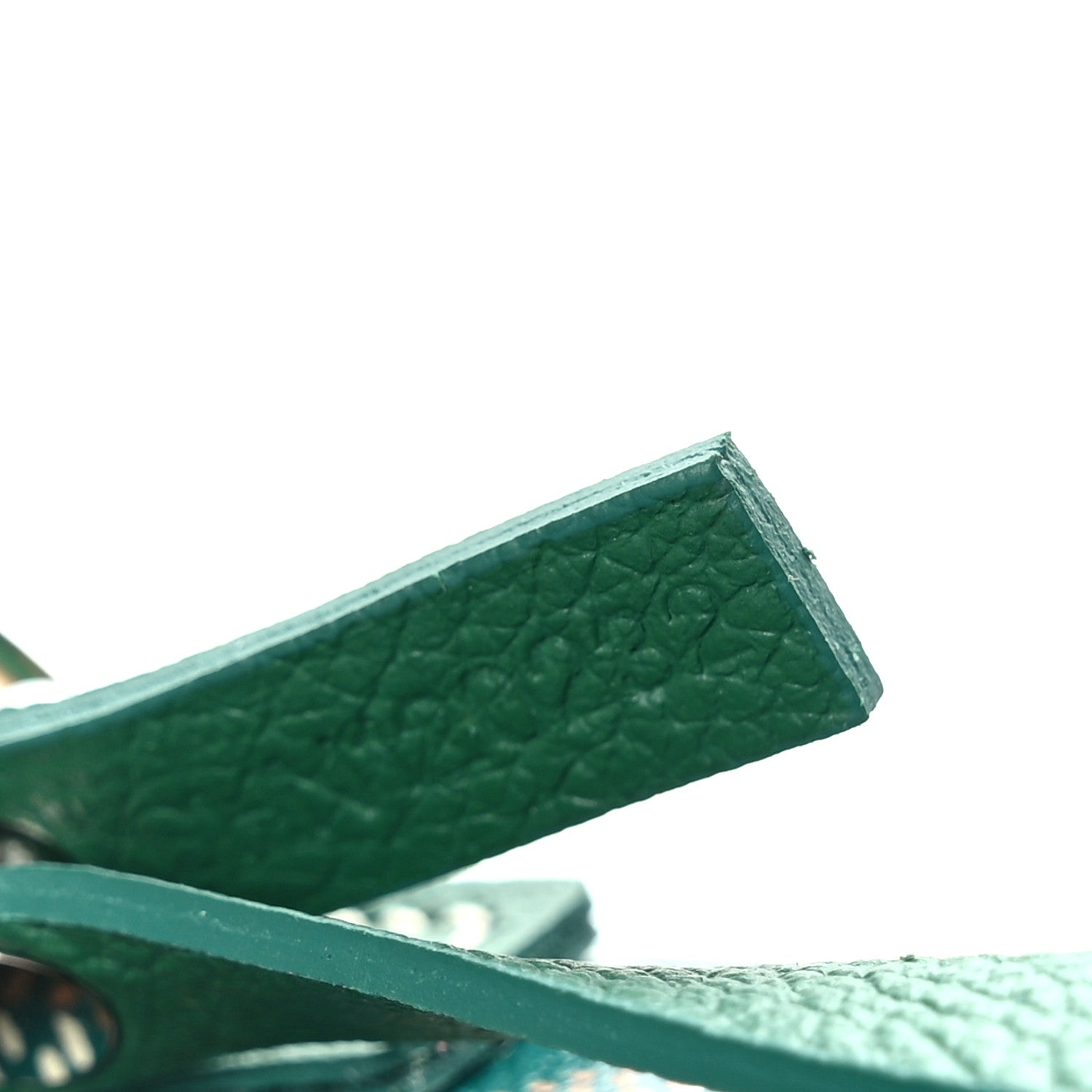 Goyard Goyardine Saint Louis PM Green 8 of 10