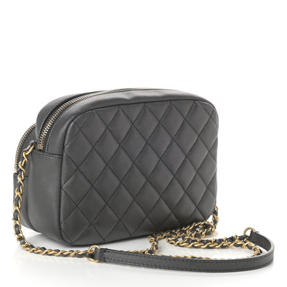 Chanel Calfskin Quilted Day Trips Camera Case Black 3 of 11