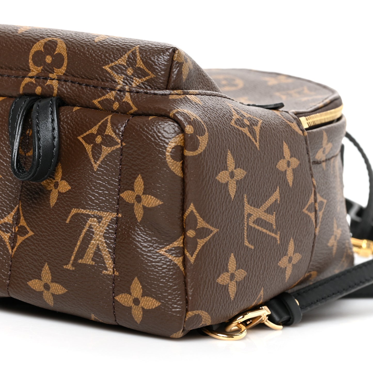 Monogram Palm Springs Backpack Mini