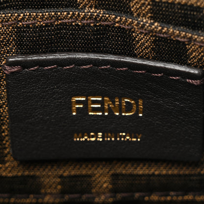 Fendi Vitello King Plexiglass Logo Embossed Mini By The Way Top Handle Boston Bag Tortora 6 of 12