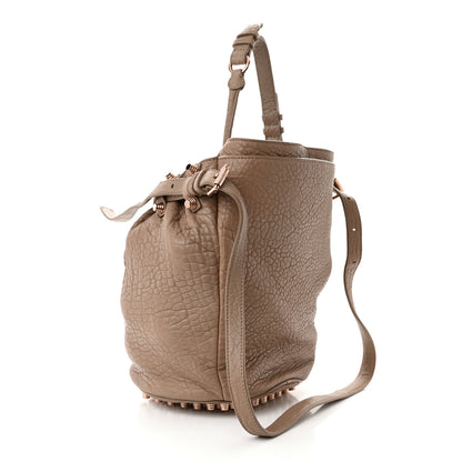 Alexander Wang Pebbled Lambskin Diego Bucket Bag Latte Rose Gold Hardware 3 of 11