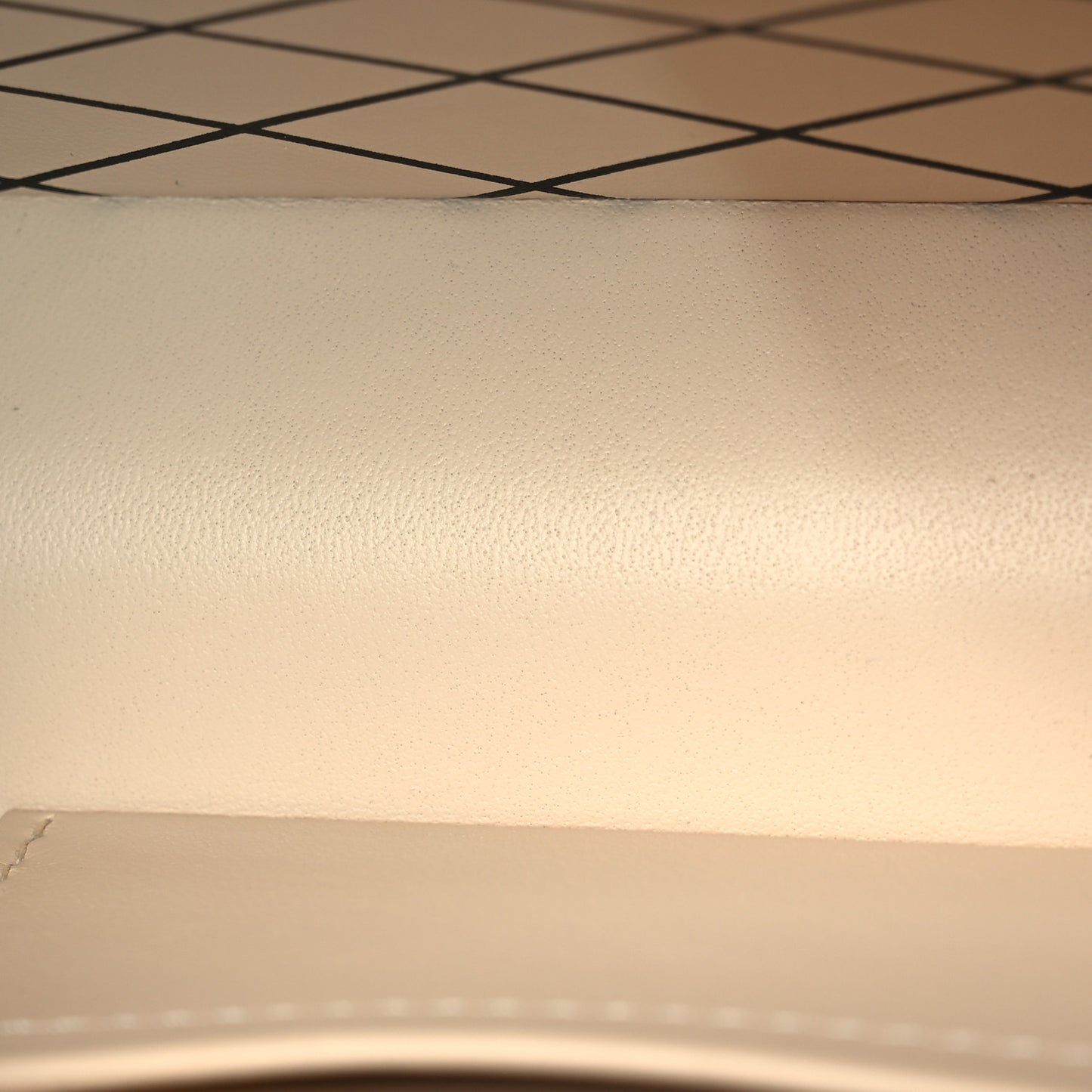 Reverse Monogram Petite Malle