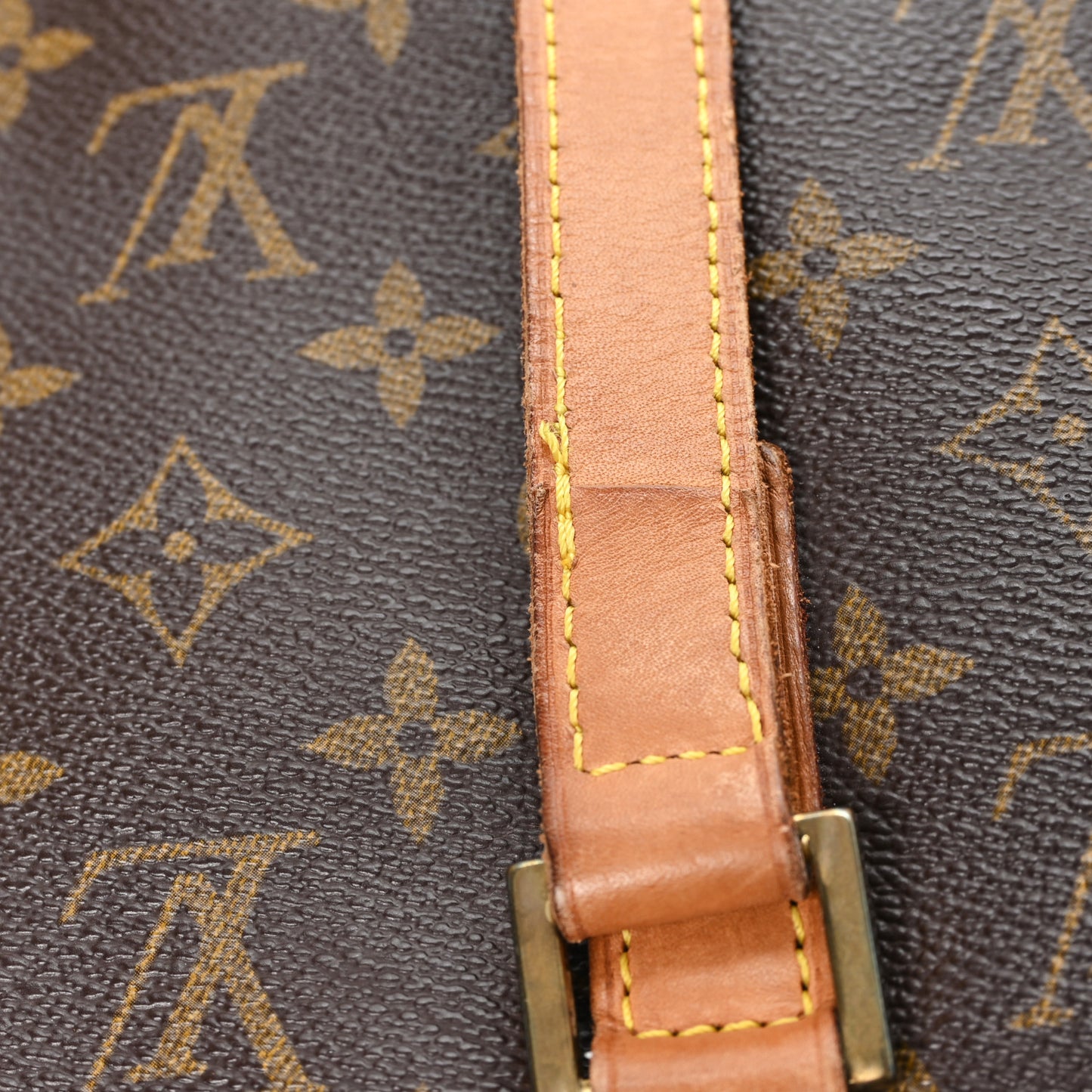 Monogram Cabas Mezzo