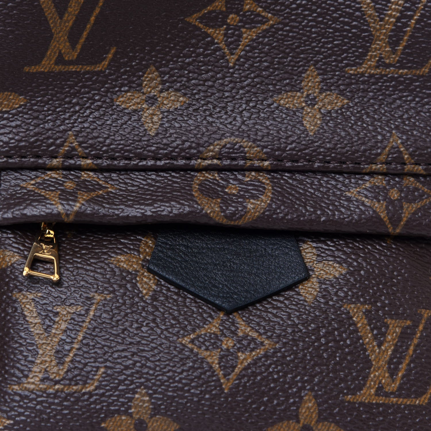 Louis Vuitton Monogram Palm Springs Backpack Mini 16 of 18