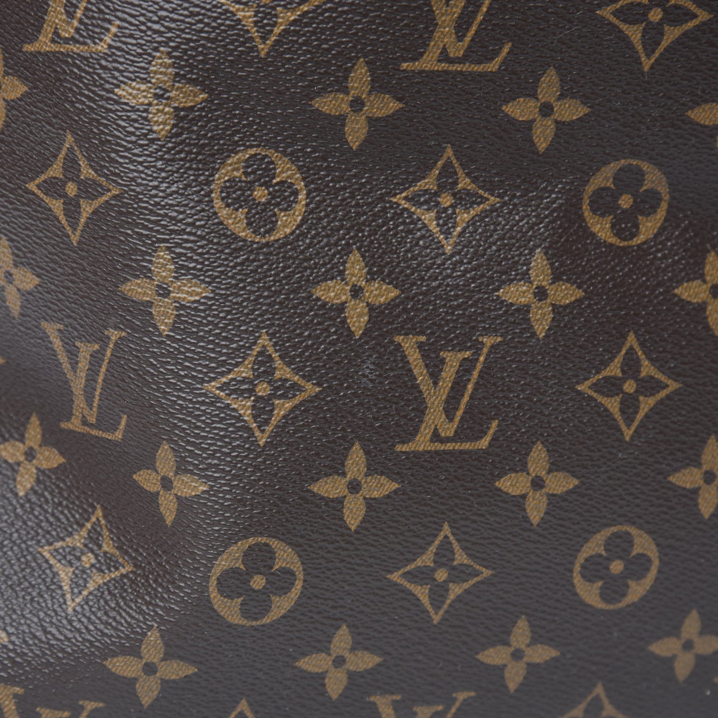 Monogram Delightful MM