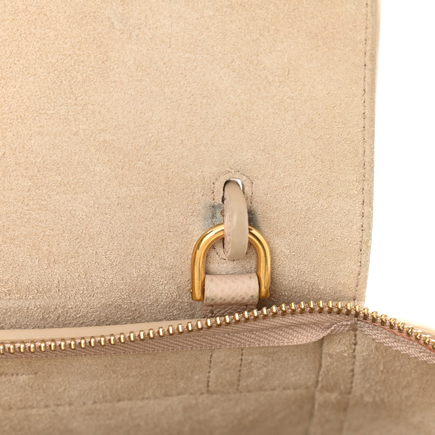 Grained Calfskin Nano Belt Bag Powder