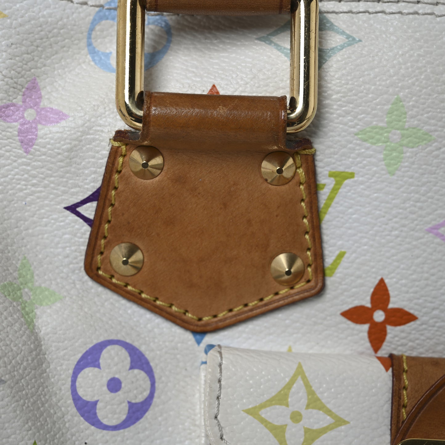 Monogram Multicolor Speedy 30 White