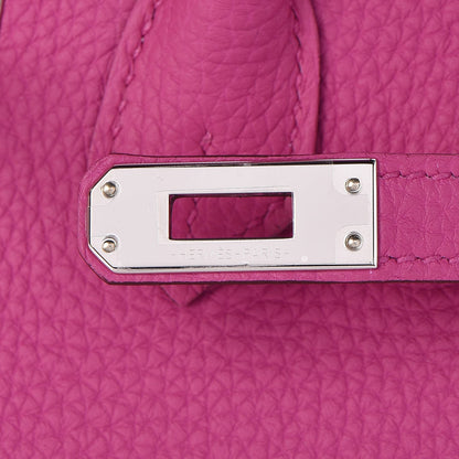 Hermes Togo Birkin 25 Magnolia 20 of 33