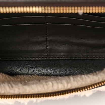Bottega Veneta Calfskin Shearling Bang Bang Vanity Case Light Brown Teddy 5 of 10