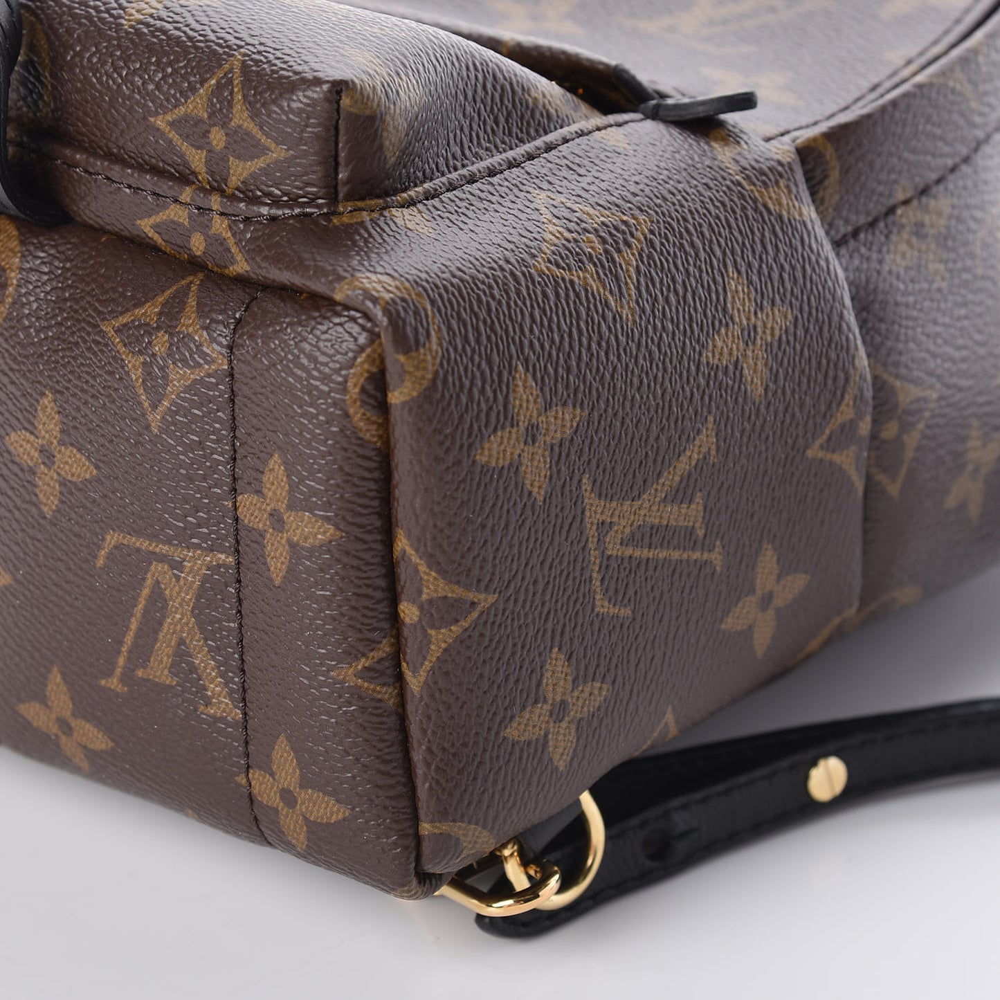 Monogram Palm Springs Backpack Mini