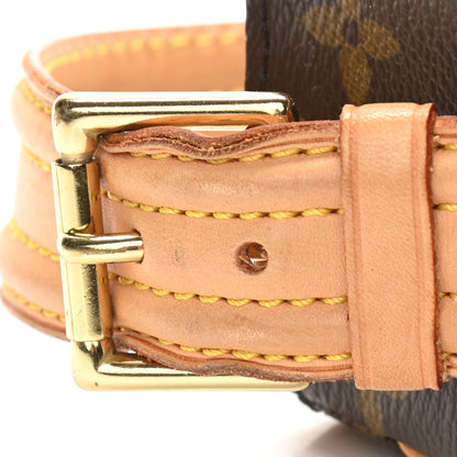 Louis Vuitton Monogram Viva-Cite MM 12 of 13