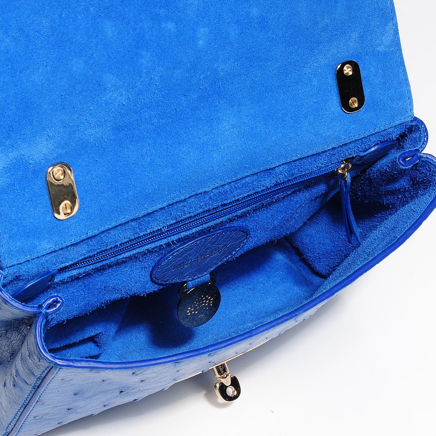 Ostrich Lily Flap Bluebell Blue