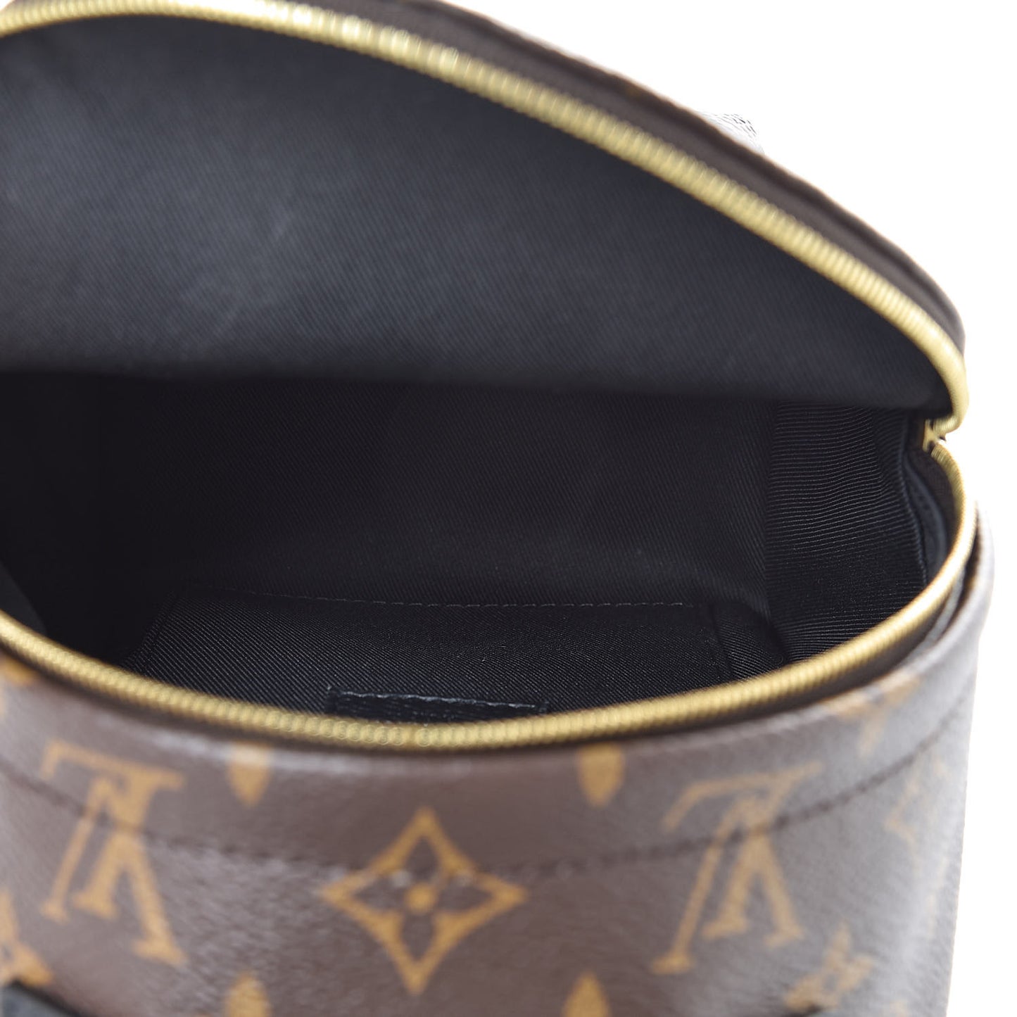 Monogram Palm Springs Backpack Mini