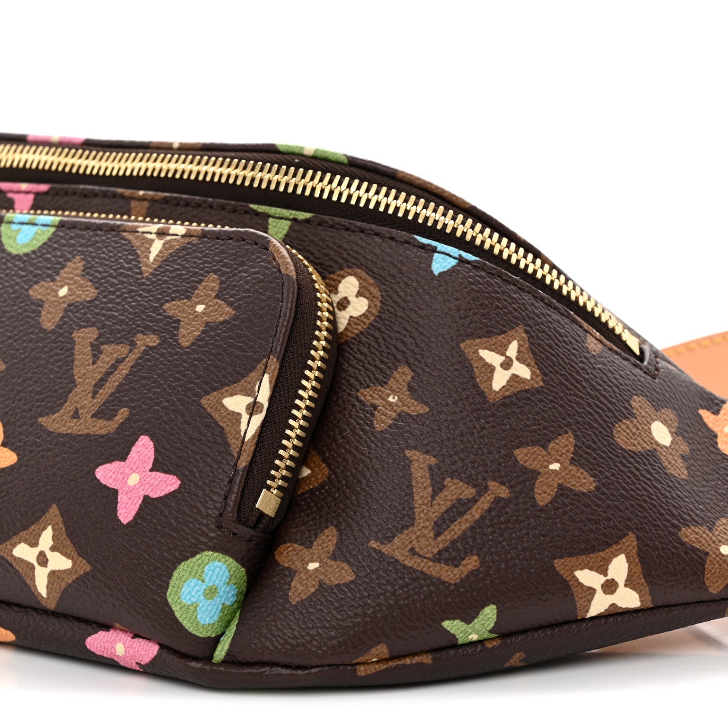Louis Vuitton X TYLER THE CREATOR Monogram Craggy Rush Bumbag 9 of 9