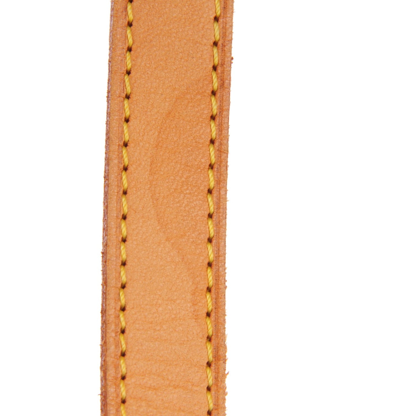 Monogram Viva-Cite PM