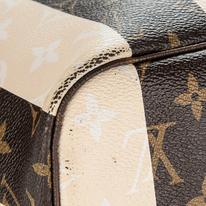 Louis Vuitton Monogram Rayures Neverfull MM 10 of 11