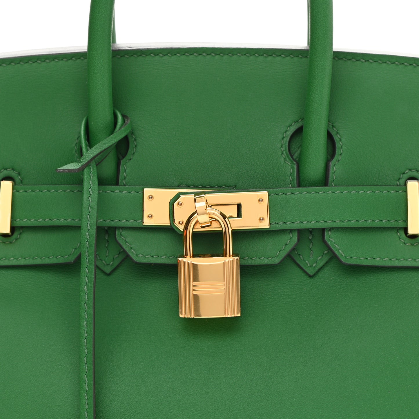 Swift Birkin 25 Cactus