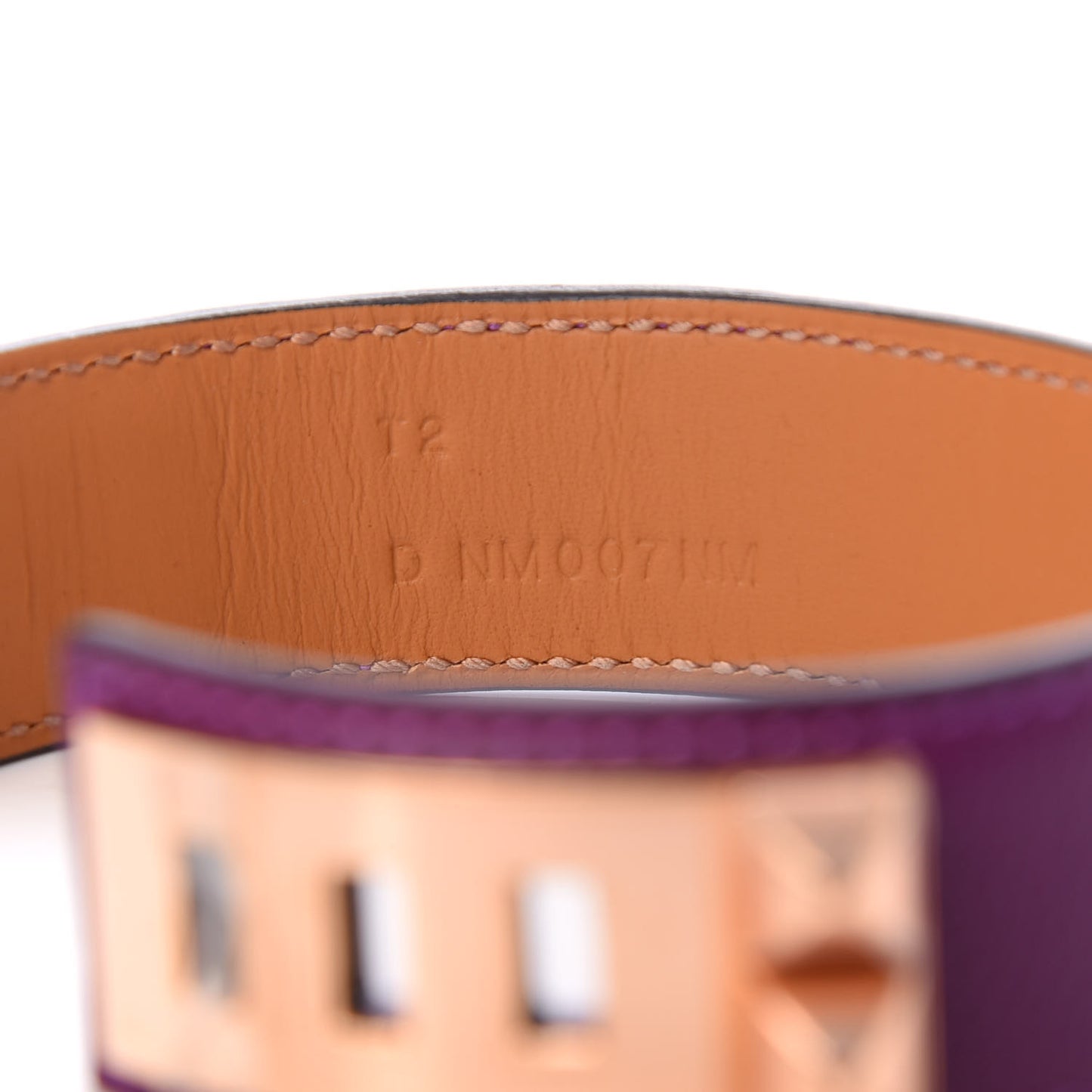 Evercolor Collier de Chien CDC Bracelet T2 Anemone