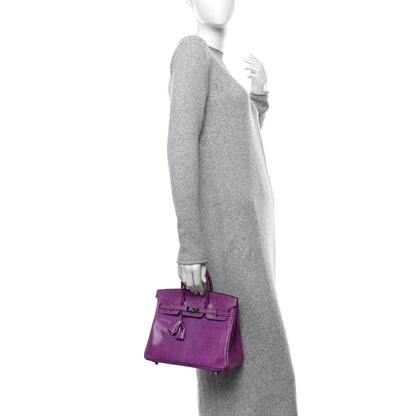 Hermes Lizard Birkin 25 Violet 2 of 11