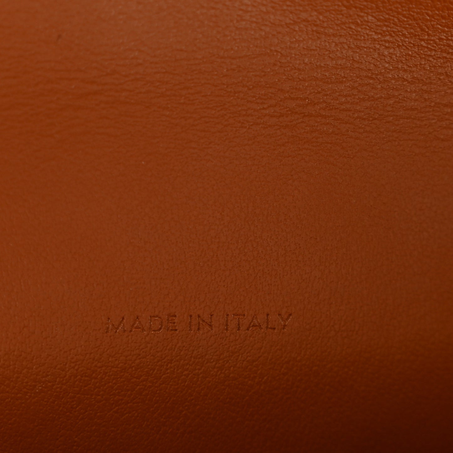 Triomphe Canvas Lambskin Wallet On Strap Tan