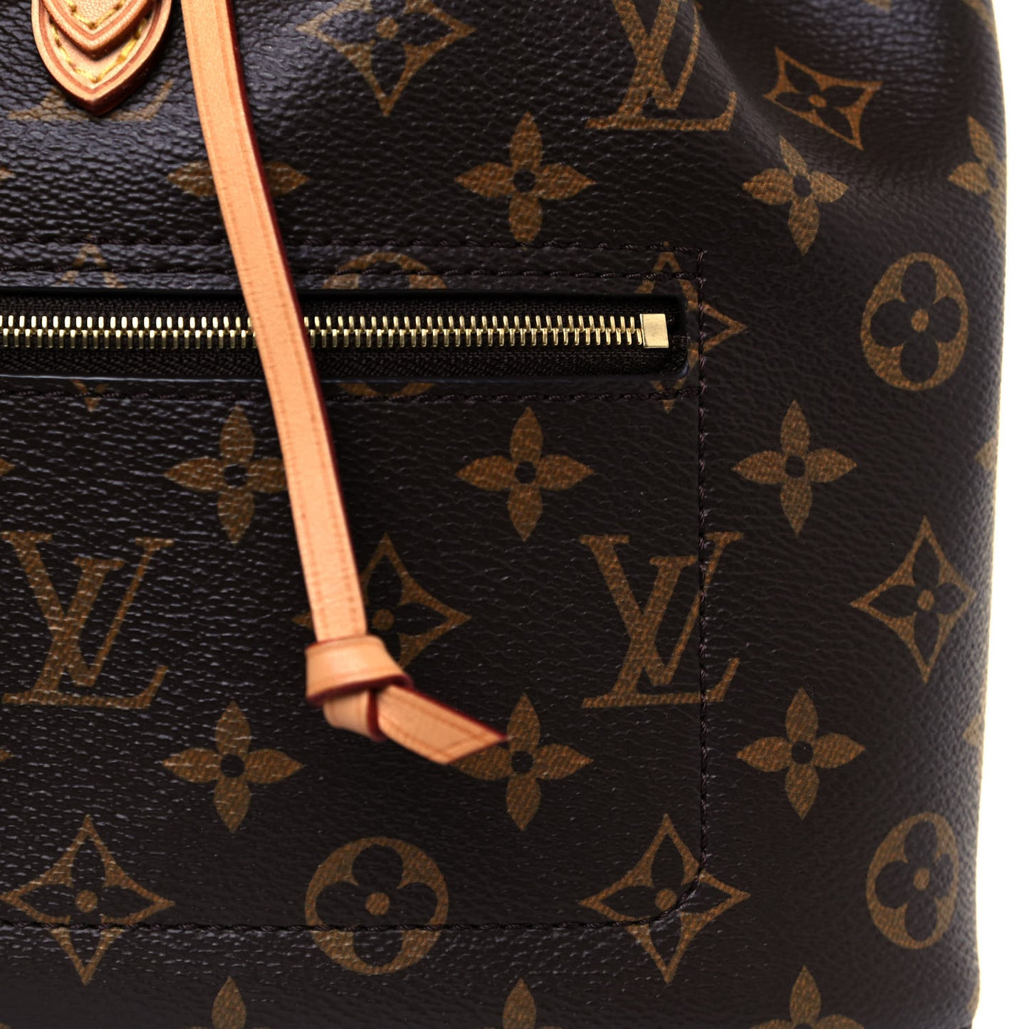 Monogram Montsouris NM Backpack