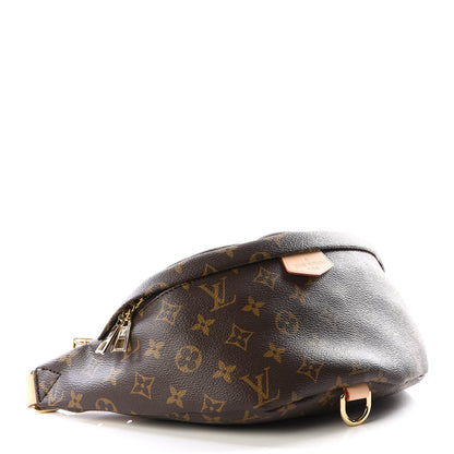 Louis Vuitton Monogram Bumbag 3 of 9