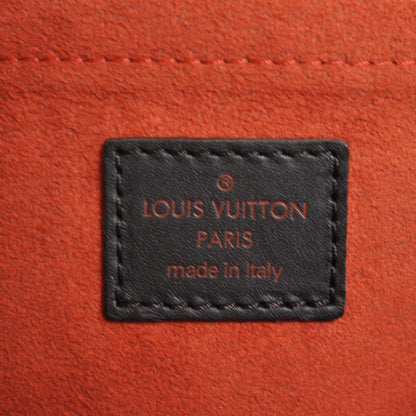 Louis Vuitton Damier Sauvage Lionne 9 of 10