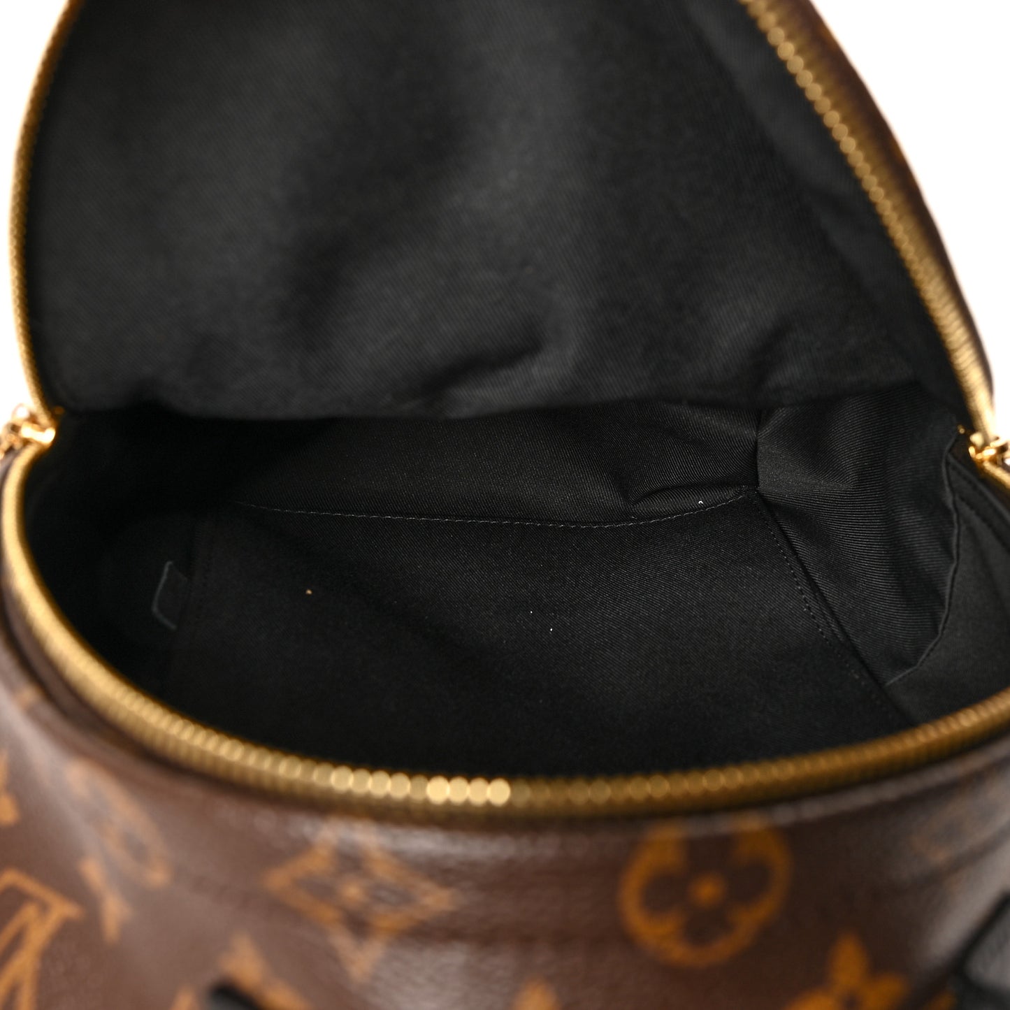 Reverse Monogram Palm Springs Backpack PM