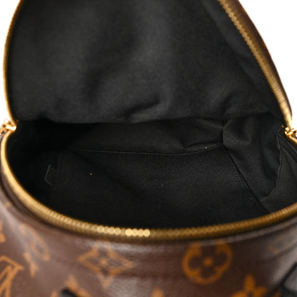 Louis Vuitton Reverse Monogram Palm Springs Backpack PM 5 of 14