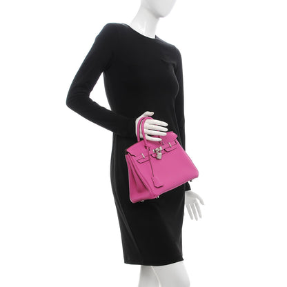 Hermes Togo Birkin 25 Magnolia 2 of 33