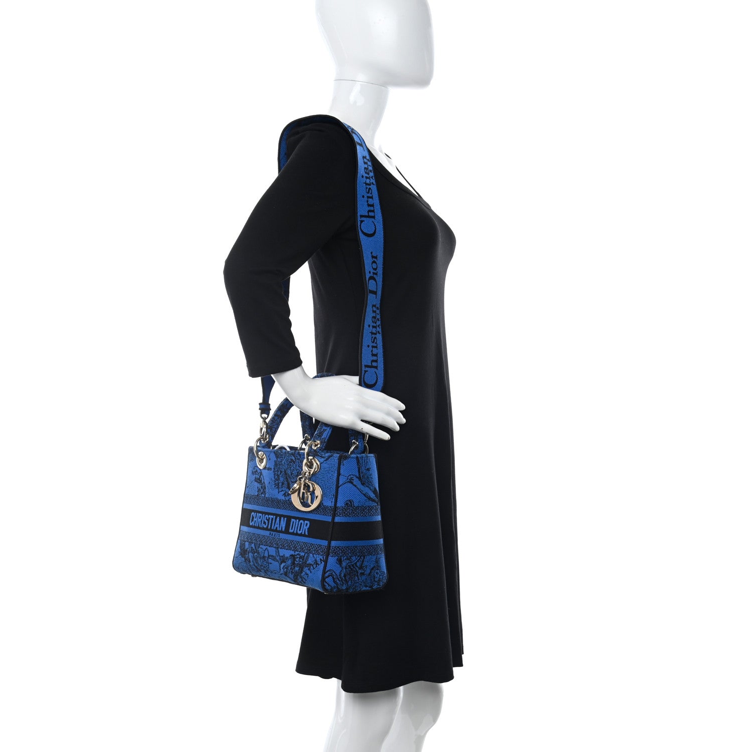 Christian Dior Canvas Toile de Jouy Zodiac Embroidered Medium Lady D-Lite Blue 2 of 9