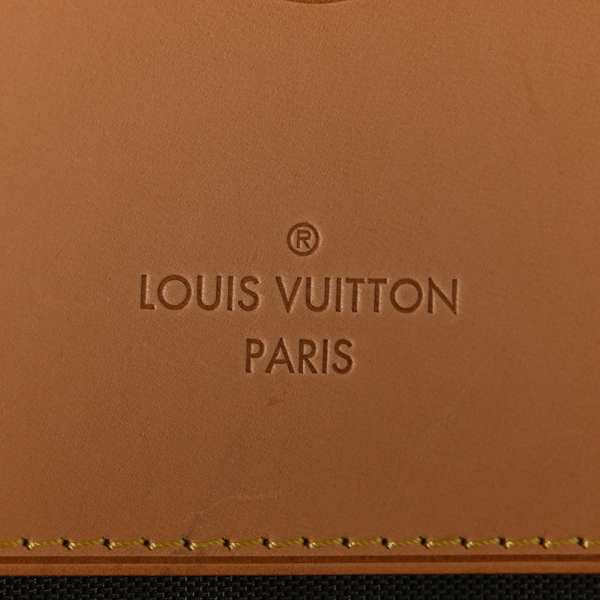 Monogram Pegase 55 Business