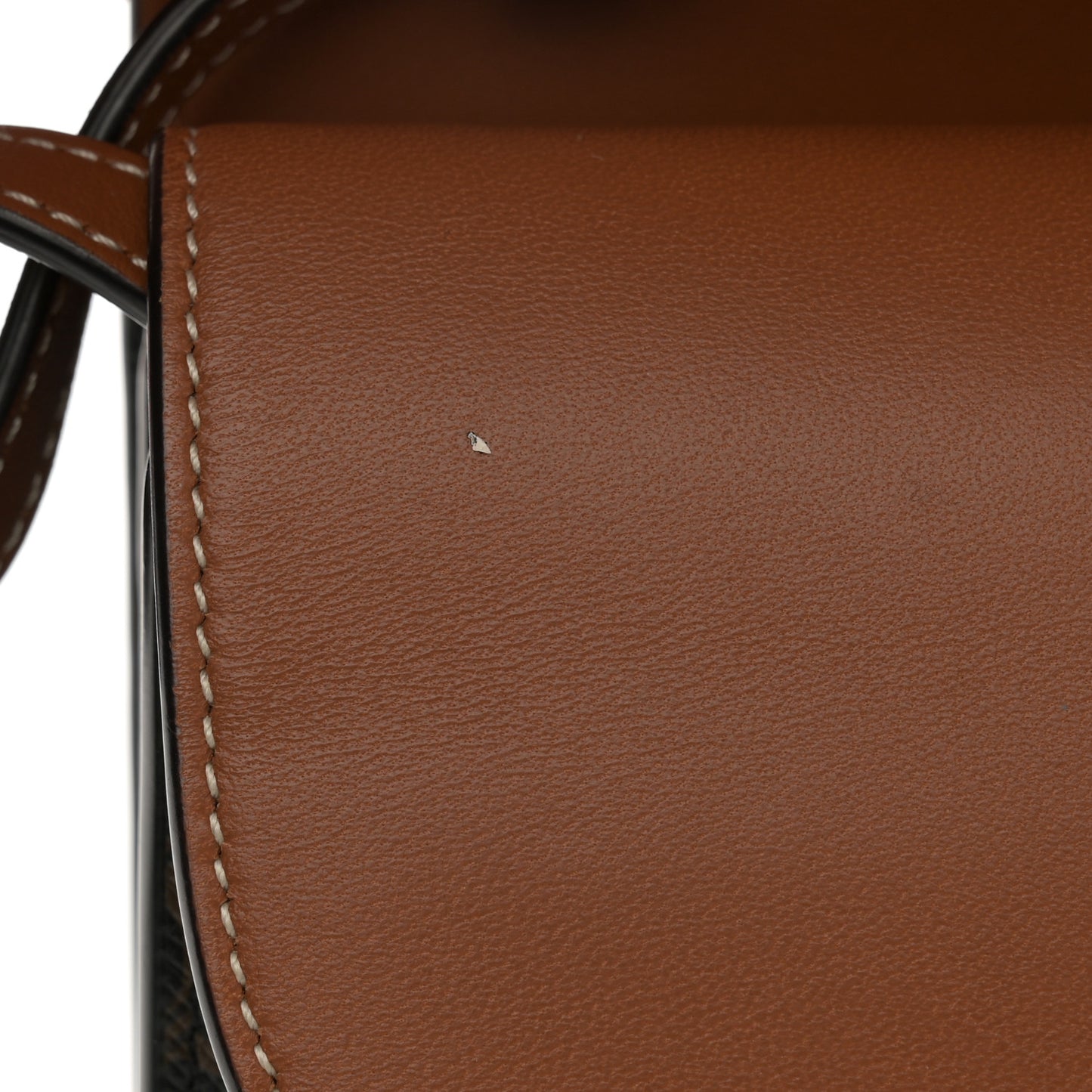 Triomphe Canvas Lambskin Wallet On Strap Tan