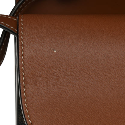 Celine Triomphe Canvas Lambskin Wallet On Strap Tan 12 of 13