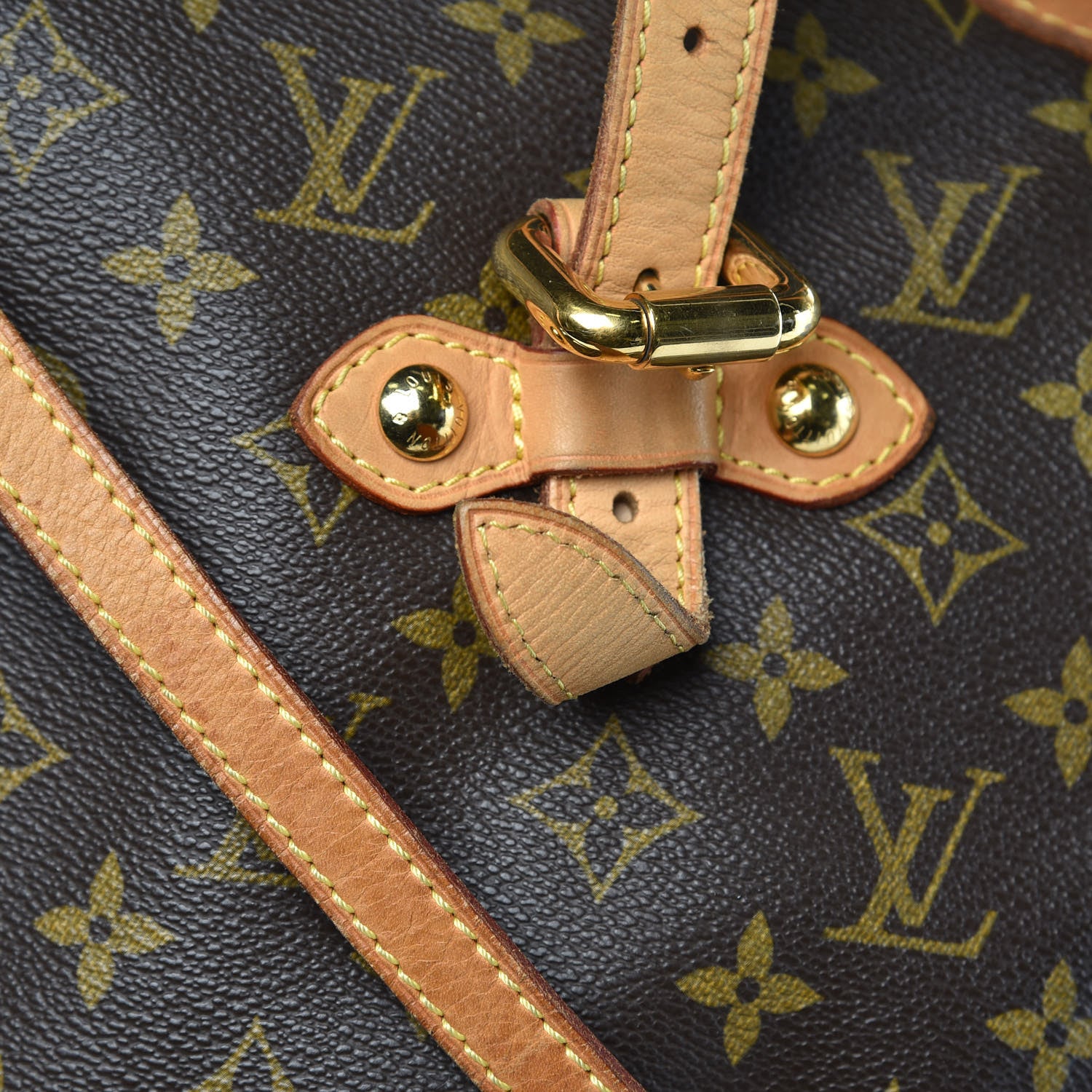 Louis Vuitton Monogram Palermo GM 15 of 17