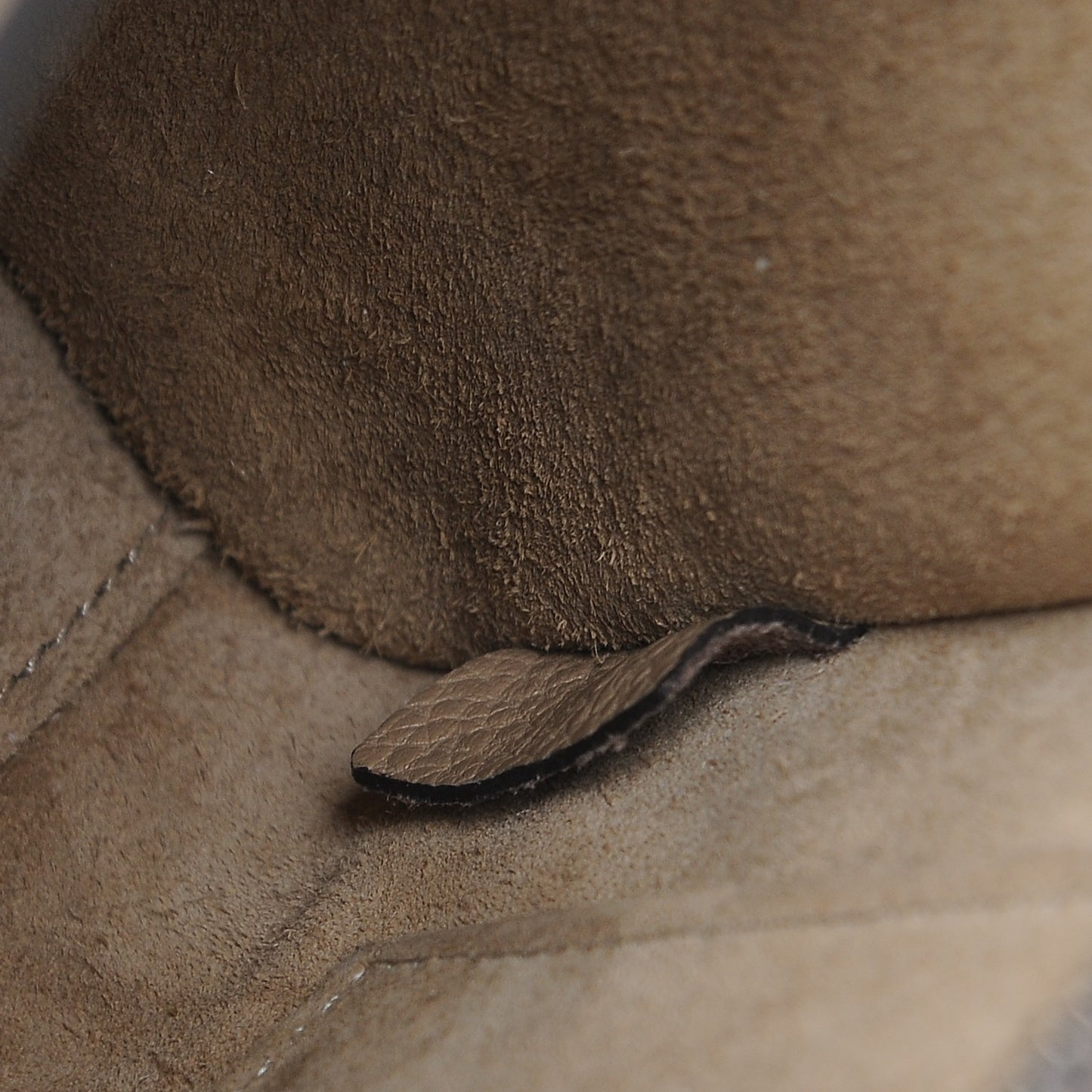 Drummed Calfskin Nano Luggage Dune