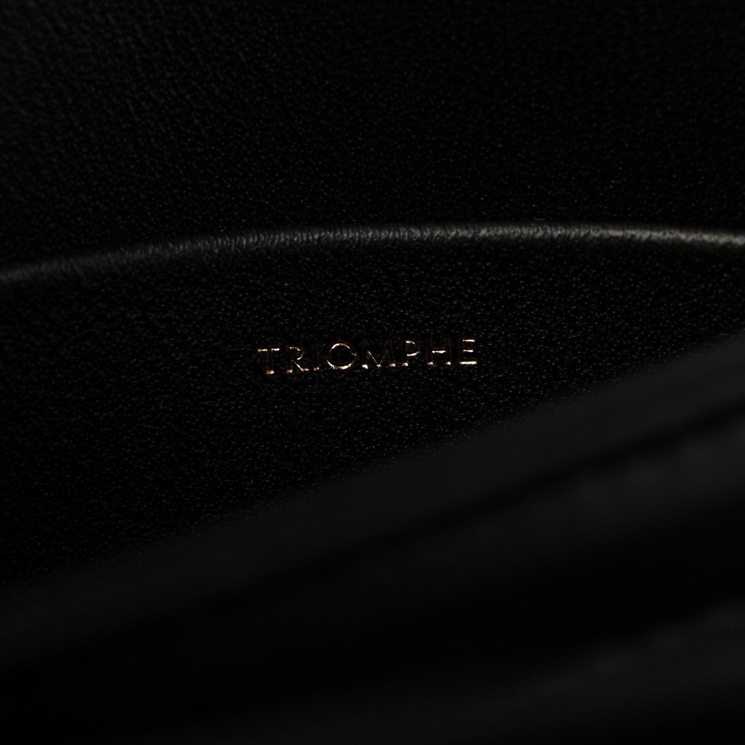 Celine Shiny Calfskin Teen Triomphe Black 7 of 13