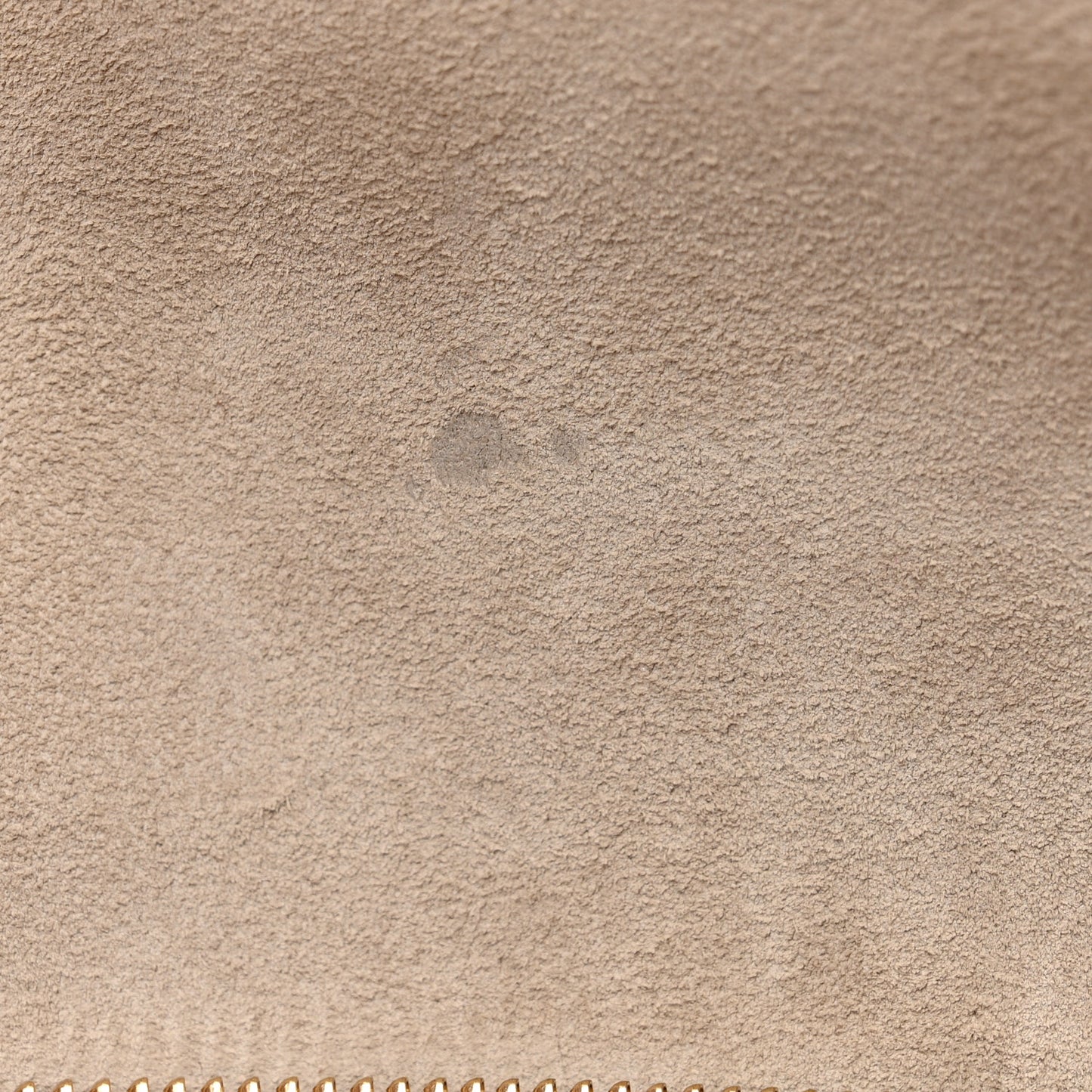 Grained Calfskin Micro Belt Bag Light Taupe
