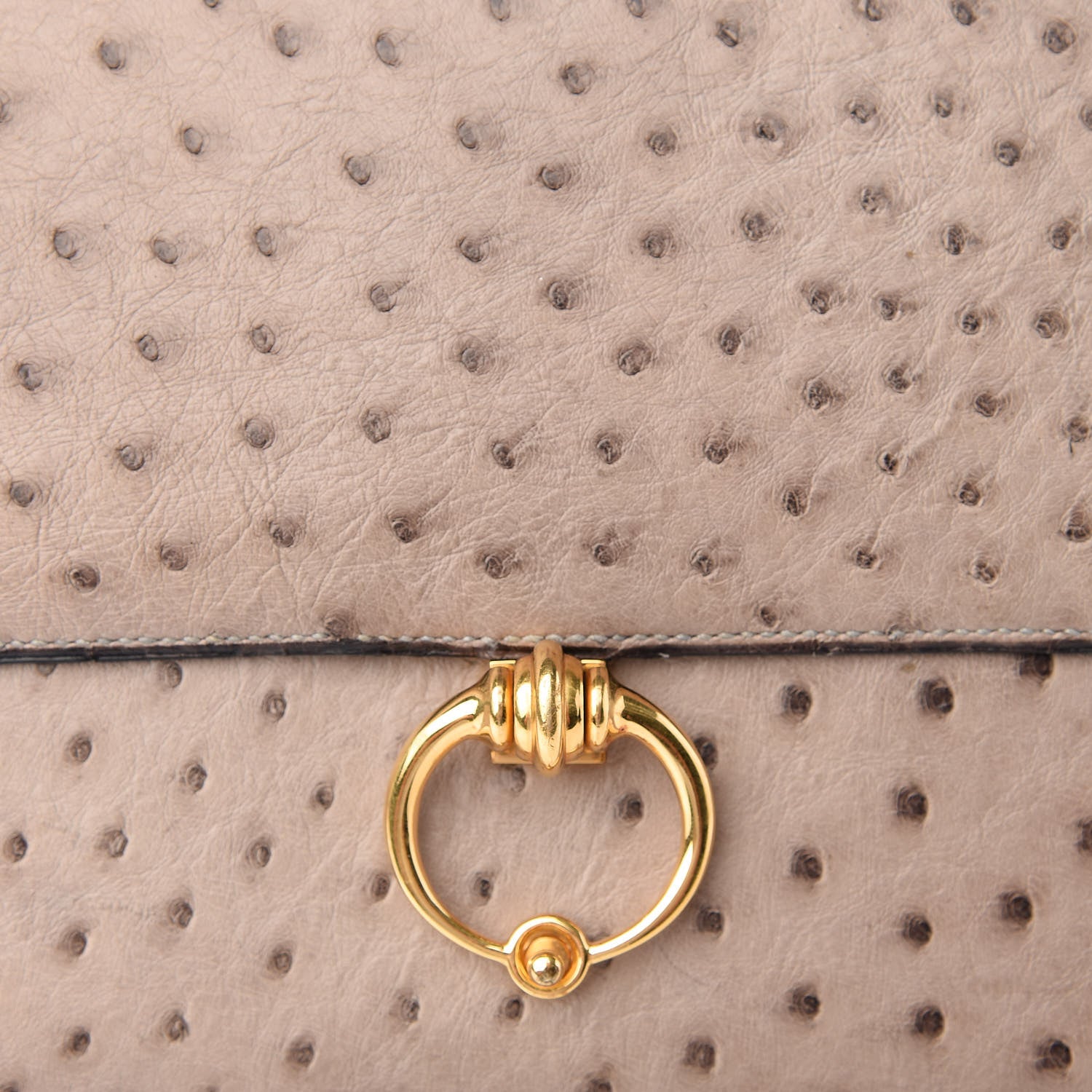 Hermes Ostrich Sequana 8 of 8