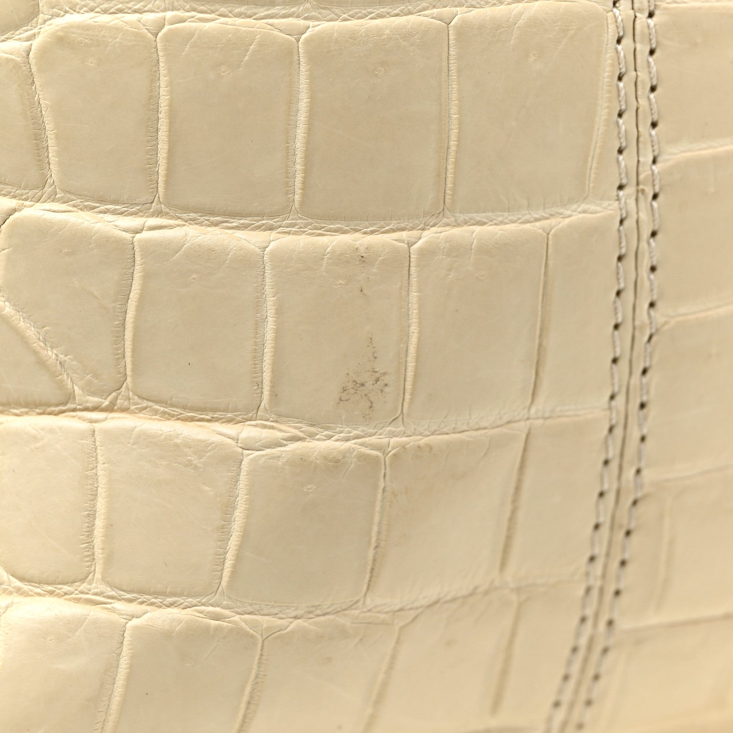 Louis Vuitton Crocodile Sac Louis Beige 18 of 21